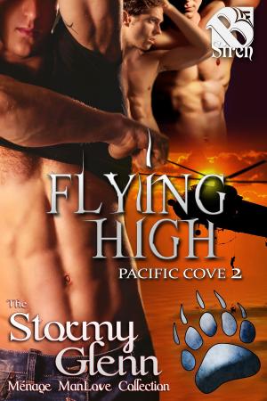 Cover of the book Flying High by Tara S. Nichols