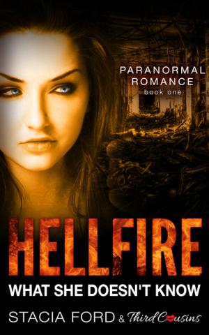 Cover of the book Hellfire - What She Doesn't Know by Christine Oneto