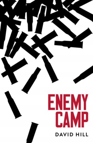 bigCover of the book Enemy Camp by 