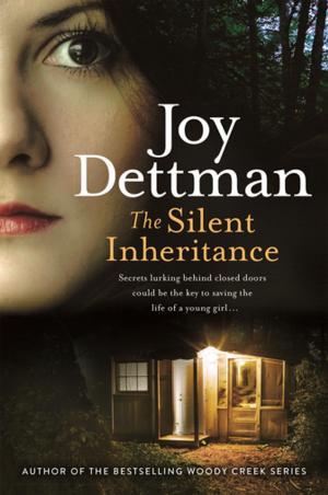 Cover of the book The Silent Inheritance by Karen Martini