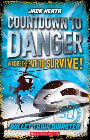 Book cover of Bullet Train Disaster