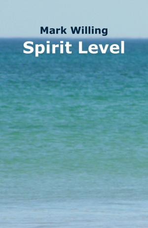 Cover of the book Spirit Level by Steve Tolbert