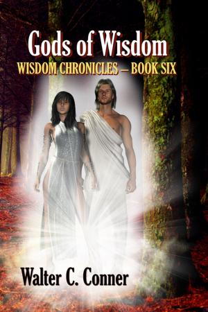 Cover of the book Gods Of Wisdom by John Wegener