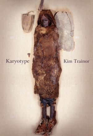 Cover of the book Karyotype by Susan Paddon