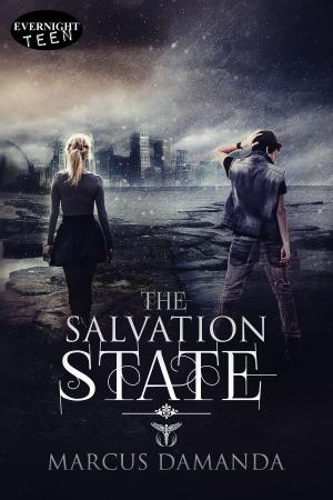 Cover of the book The Salvation State by Deidre Huesmann