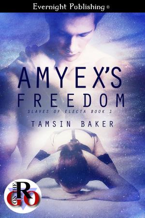 Cover of the book Amyex's Freedom by James Cox