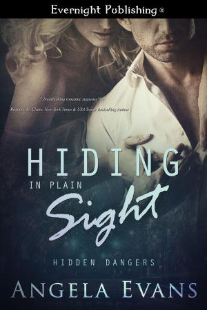 Cover of the book Hiding in Plain Sight by James Cox