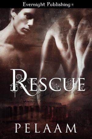 Cover of the book Rescue by Lorraine Nelson
