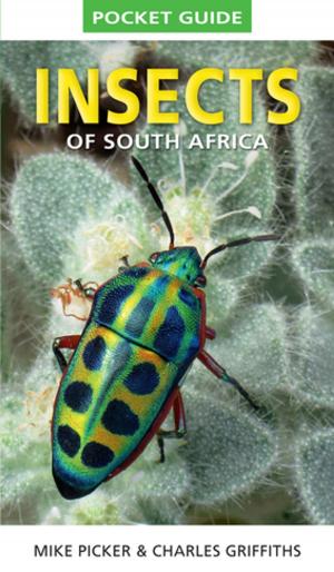 Cover of the book Pocket Guide to Insects of South Africa by Chris Stuart