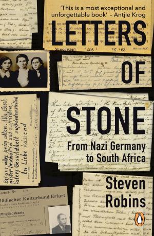 Book cover of Letters of Stone