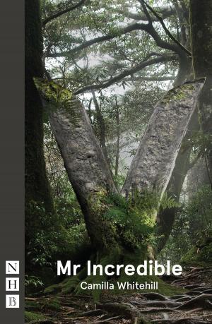 Cover of the book Mr Incredible (NHB Modern Plays) by Caryl Churchill