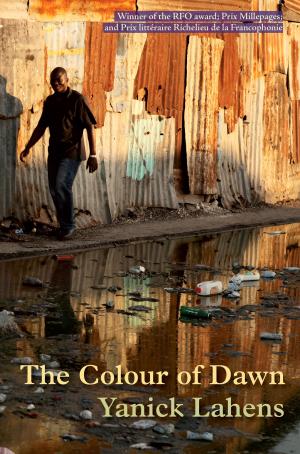 Cover of the book Colour of Dawn by Robert Minhinnick