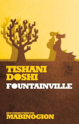 Cover of the book Fountainville by Peter Finch