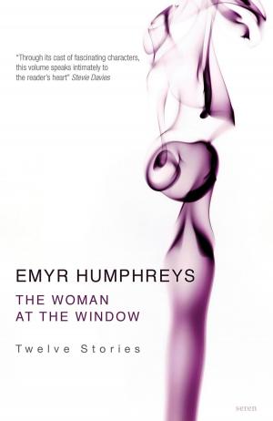 Cover of the book Woman at the Window by Carolyn Jess-Cooke