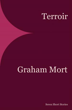 Cover of the book Terroir by Graham Mort