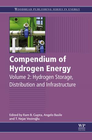 Cover of the book Compendium of Hydrogen Energy by Shadi A. Dayeh, Anna Fontcuberta i Morral, Chennupati Jagadish