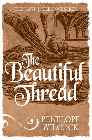 Cover of the book The Beautiful Thread by Nick Hernandez