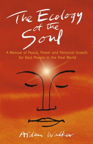 bigCover of the book The Ecology of the Soul by 