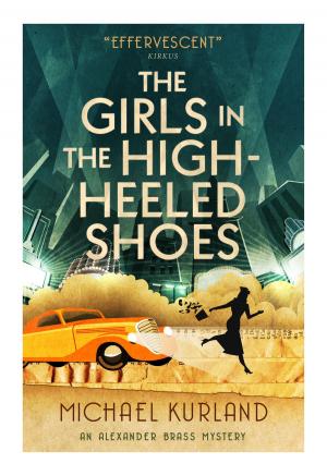 Book cover of The Girls in the High-Heeled Shoes