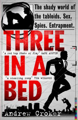 Cover of the book Three in a Bed by Robert Llewellyn