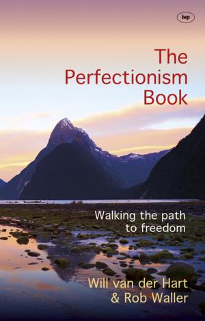 Book cover of The Perfectionism Book
