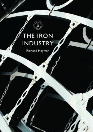 Cover of the book The Iron Industry by Jean Saunders