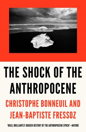 Cover of the book The Shock of the Anthropocene by Mimi Sheller