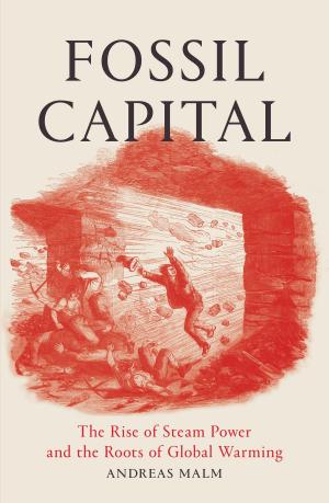 Book cover of Fossil Capital