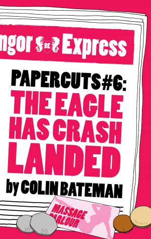 Cover of the book Papercuts 6: The Eagle Has Crash Landed by Sarah Flint