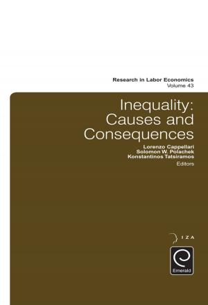 Cover of the book Inequality by Kenneth D. Lawrence