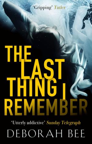 bigCover of the book The Last Thing I Remember by 