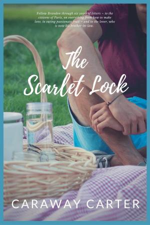 Cover of the book The Scarlet Lock by Debbie McGowan