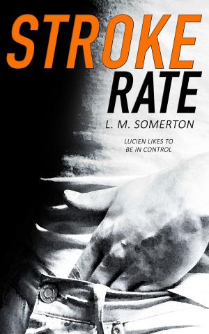 Cover of the book Stroke Rate by Faith Ashlin