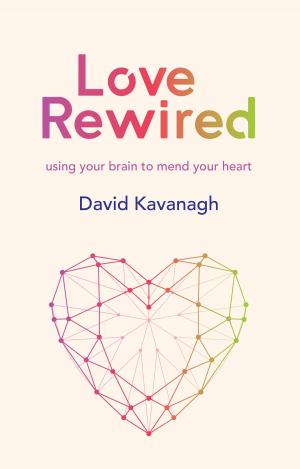 Cover of the book Love Rewired by Brian Lucey, Charles Larkin, Constantin Gurdgiev