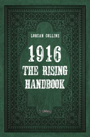 Cover of the book 1916: The Rising Handbook by Joe Murphy