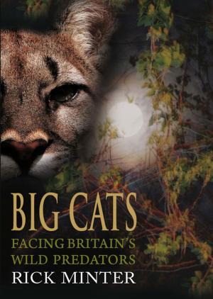 Cover of the book Big Cats by Dave Wynne-Jones