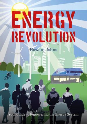 Book cover of Energy Revolution