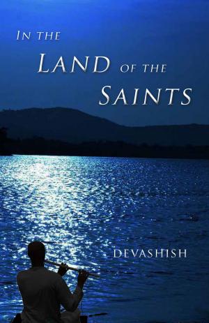 Book cover of In the Land of the Saints