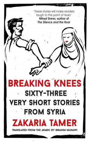 Cover of the book Breaking Knees by Farzana Moon