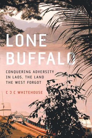 Cover of the book Lone Buffalo by Stephen Meier