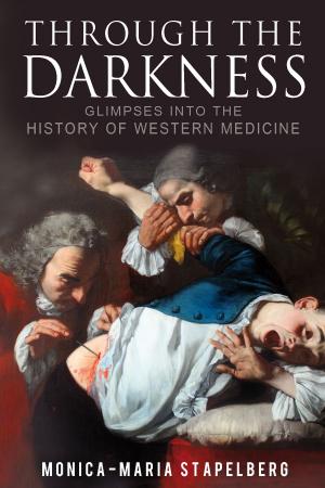Cover of the book Through the Darkness by Patricia Posner