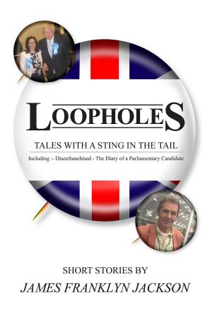 Cover of the book Loopholes by Kelly Williams-Richardson