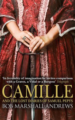 bigCover of the book Camille by 