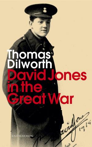 Cover of the book David Jones and the Great War by U.A. Fanthorpe