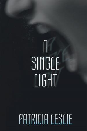 Cover of the book A Single Light by Carolyn Denman
