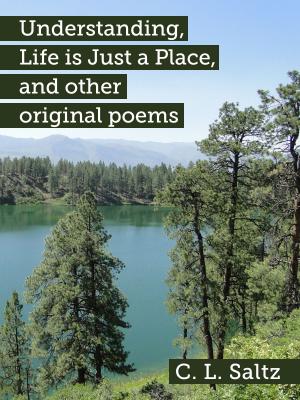 Cover of the book Understanding, Life is Just a Place, and other original poems by Peter Newman