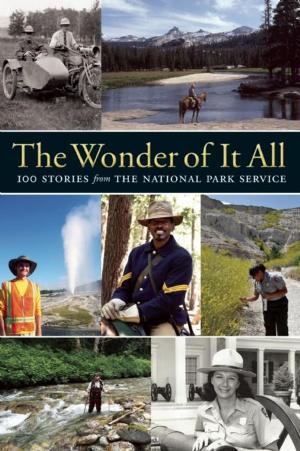 Cover of the book The Wonder of It All by Michael Brower, Warren Leon