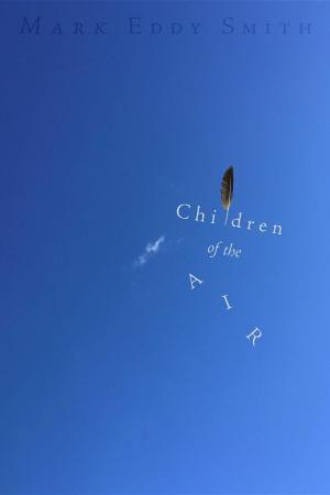 Book cover of Children of the Air