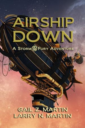 bigCover of the book Airship Down by 
