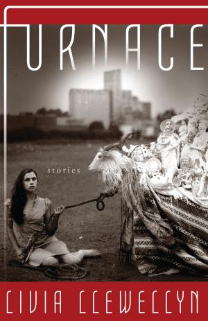 Book cover of Furnace